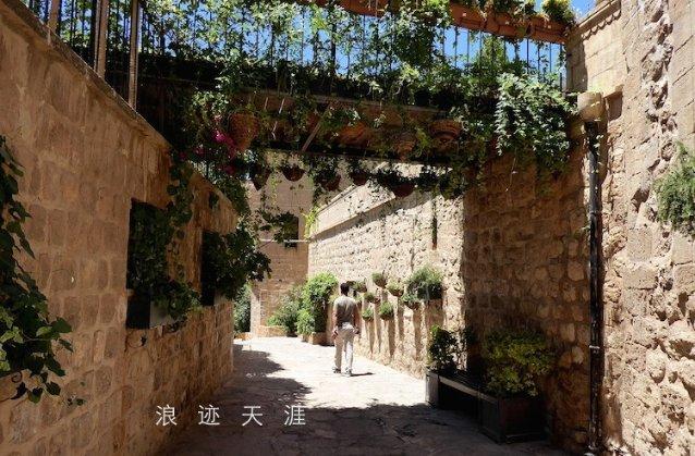 现代国家治理具有的突出内在要求和鲜明特征不包括（）。