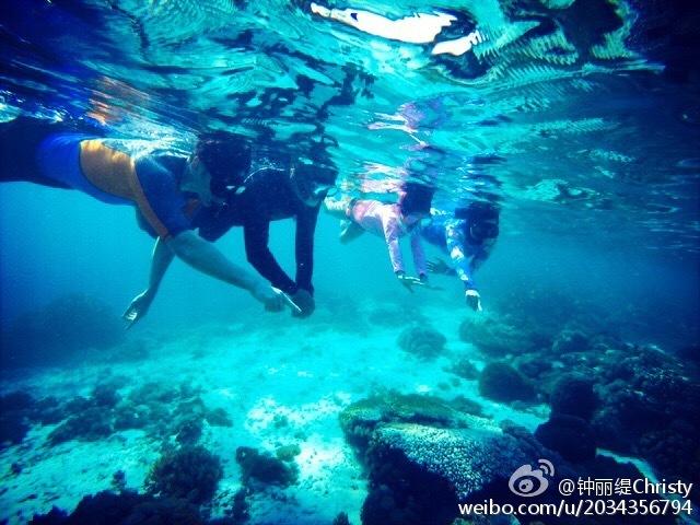 父母有新农合,还需要买保险吗?-专业知识问答,百问不厌