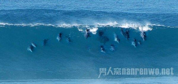 1000L-IBC吨桶节能油包装机_液体下潜包装机