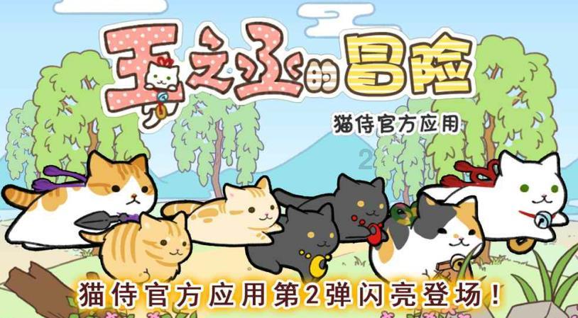 【视频】多措并举迎战低温 全力保障群众生产生活