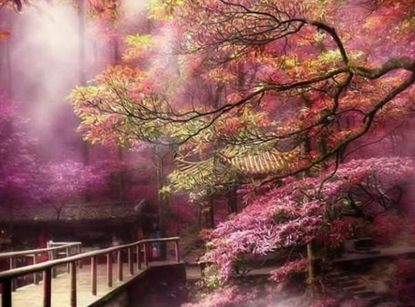 崩溃大陆